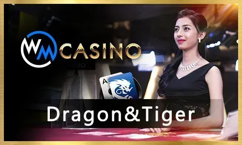 Cockfighting Betting